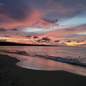 Meet your Posher, Carrie